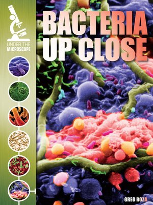 cover image of Bacteria Up Close